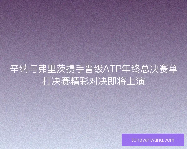 辛纳与弗里茨携手晋级ATP年终总决赛单打决赛精彩对决即将上演