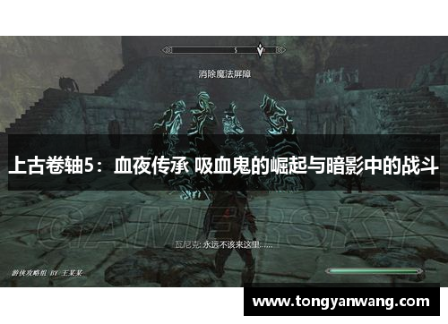 上古卷轴5：血夜传承 吸血鬼的崛起与暗影中的战斗